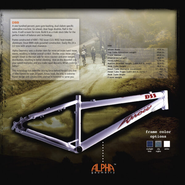DSS Frame